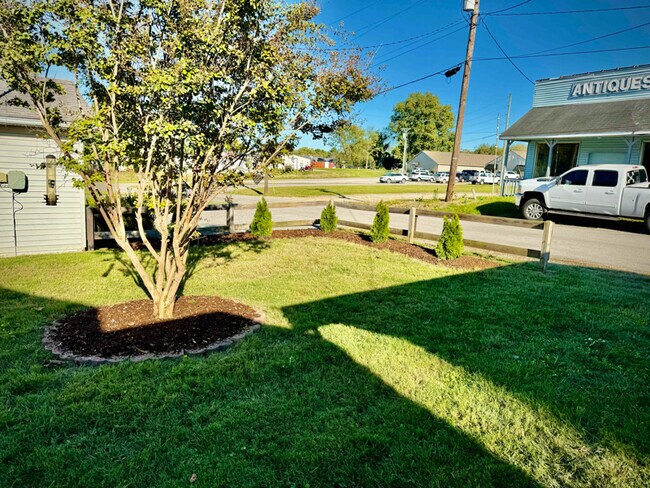 Building Photo - 73 Dan St