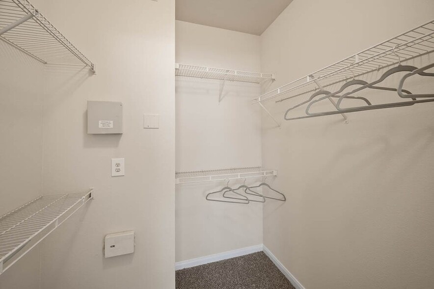 Belterra general photo - Belterra