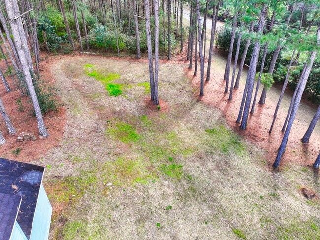 Building Photo - 100 Sweetbriar Lakes Dr