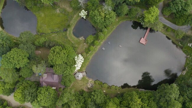 Building Photo - 195 Black Bear Dr