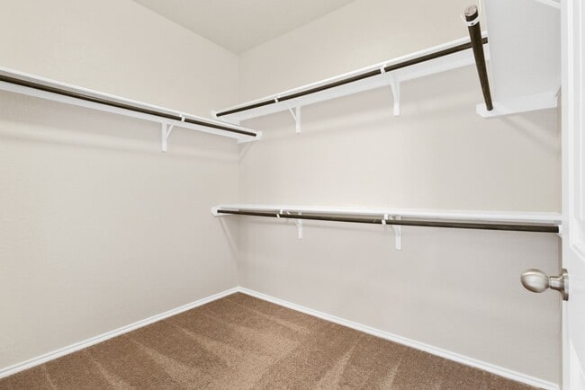 Building Photo - 515 Sage Thrasher