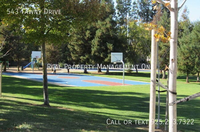 Building Photo - 543 Tawny Dr