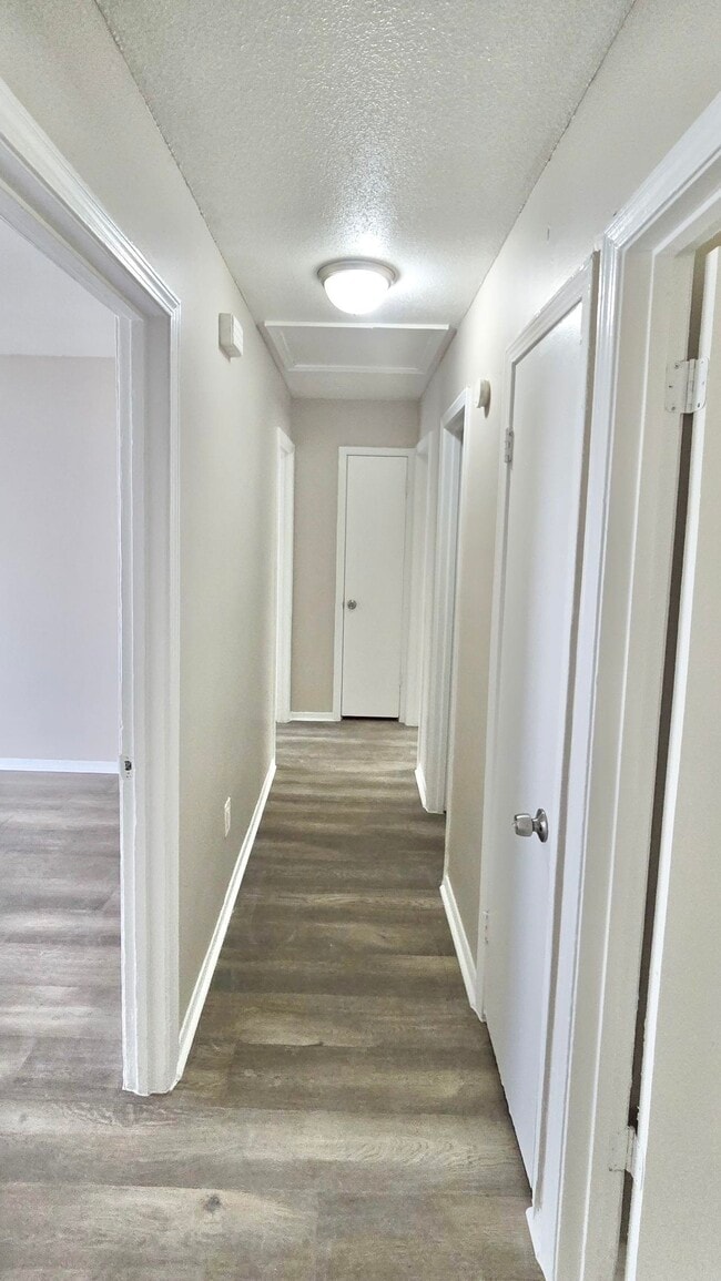 Building Photo - 4539 Spring Valley Dr