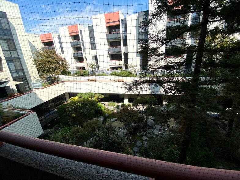 View from patio - 222 S Central Ave