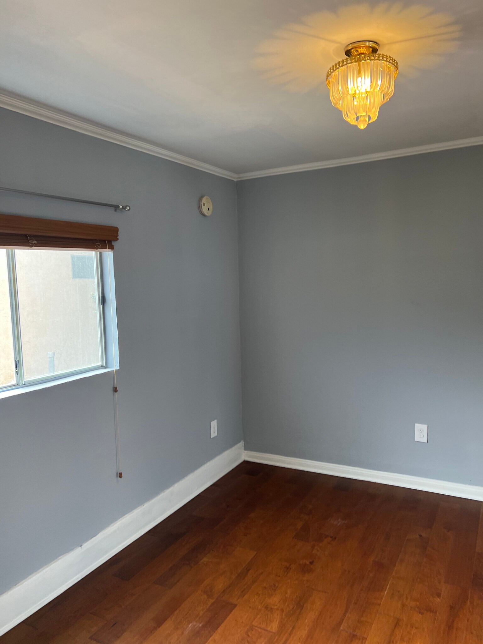 Building Photo - 533 Vernon Ave