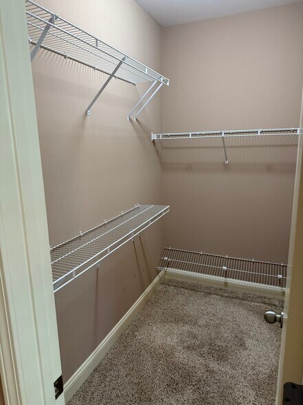 Primary Bdrm Closet - 367 Stillwood Dr