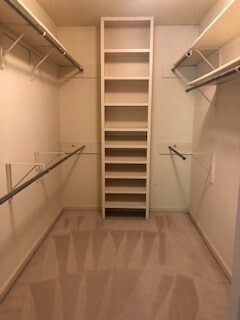Walk-in Closet - 29 Sterling Court (Hershey Med Center)