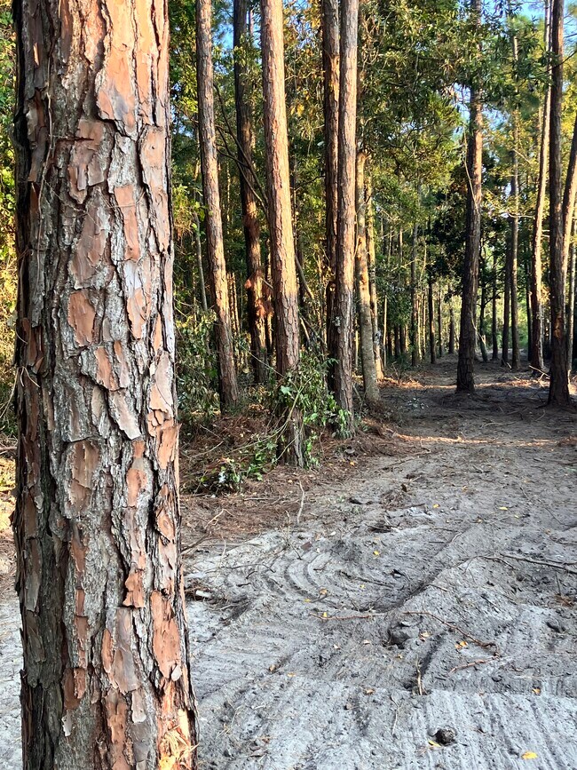 Building Photo - 164 Golden Meadow Dr