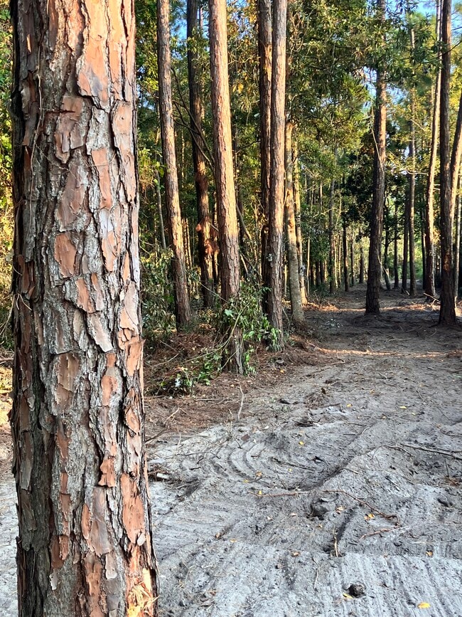 Building Photo - 212 Francis St