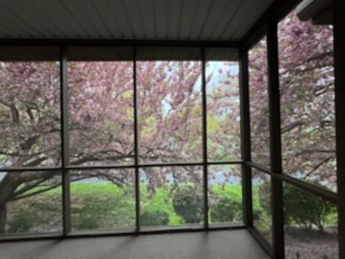 Building Photo - 575 Roslaire Dr