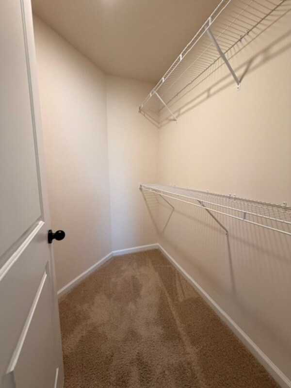 Building Photo - 213 Golden Fluke Dr