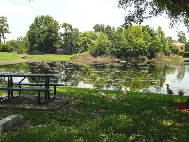 Building Photo - 1002 Gwyn Cir