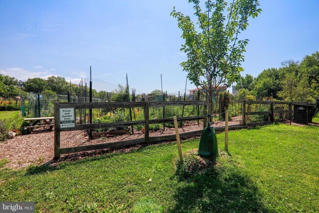 Building Photo - McLean Gardens, Washington, DC