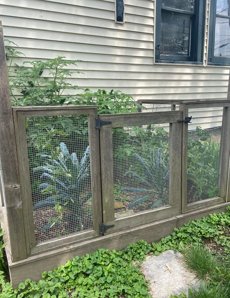 Fenced-in garden bed available for tenant - 811 E Hadley St