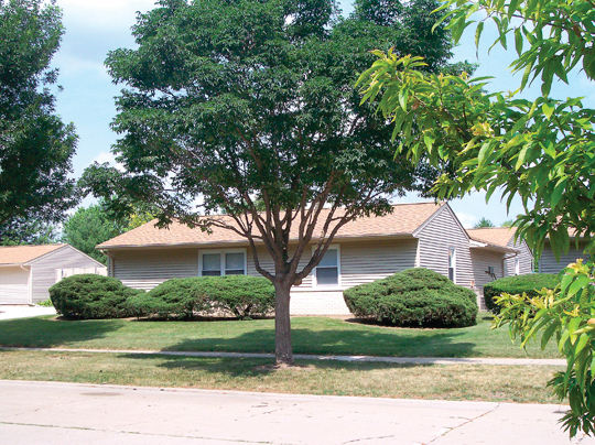 Primary Photo - Windsor Duplexes