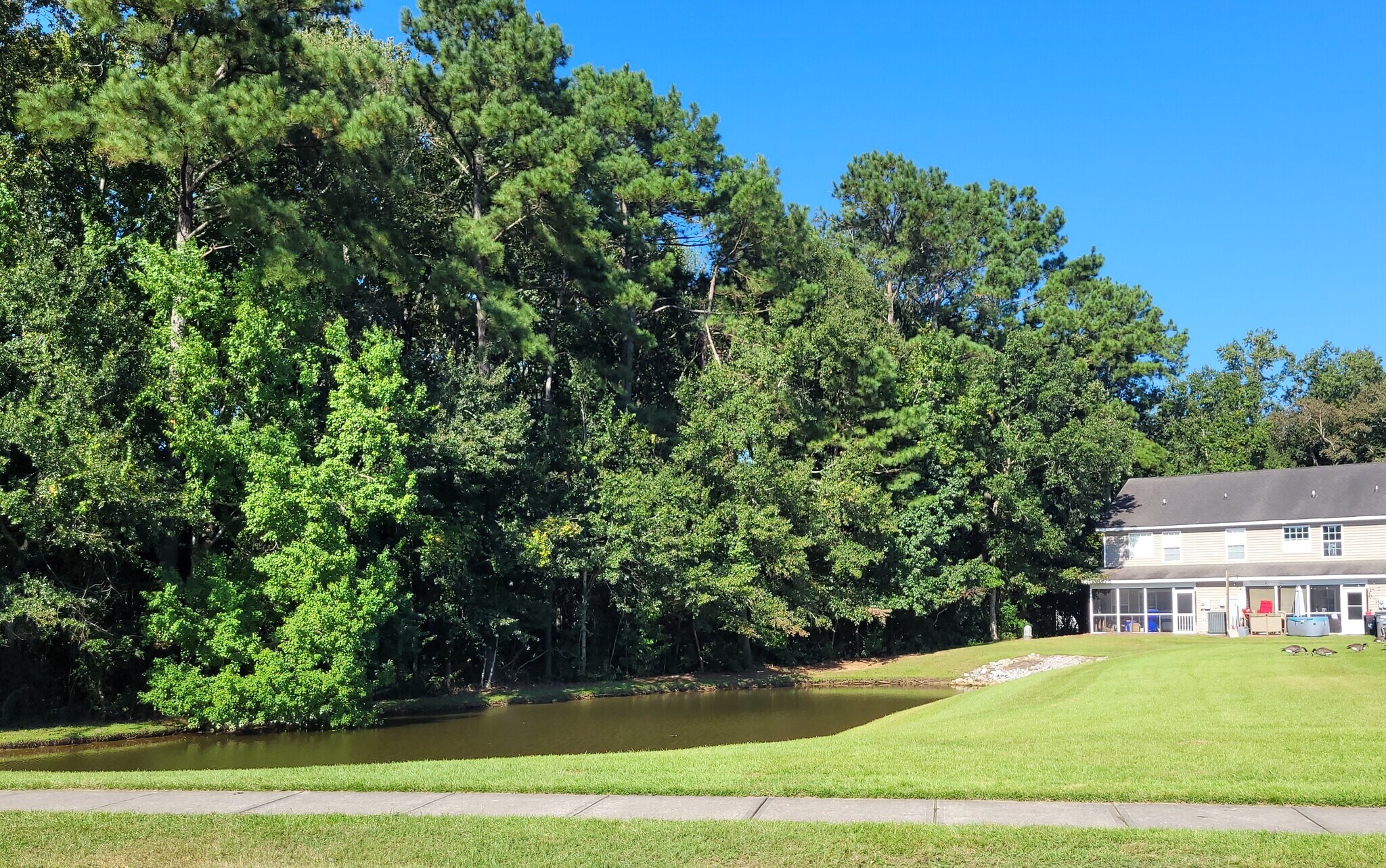 Other small pond in community with geese - 2496 Stadium Dr