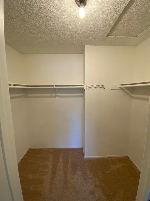 Building Photo - 8074 Woodland Dr