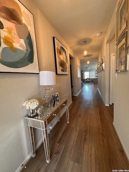 Building Photo - 206 Santo Spirit Road