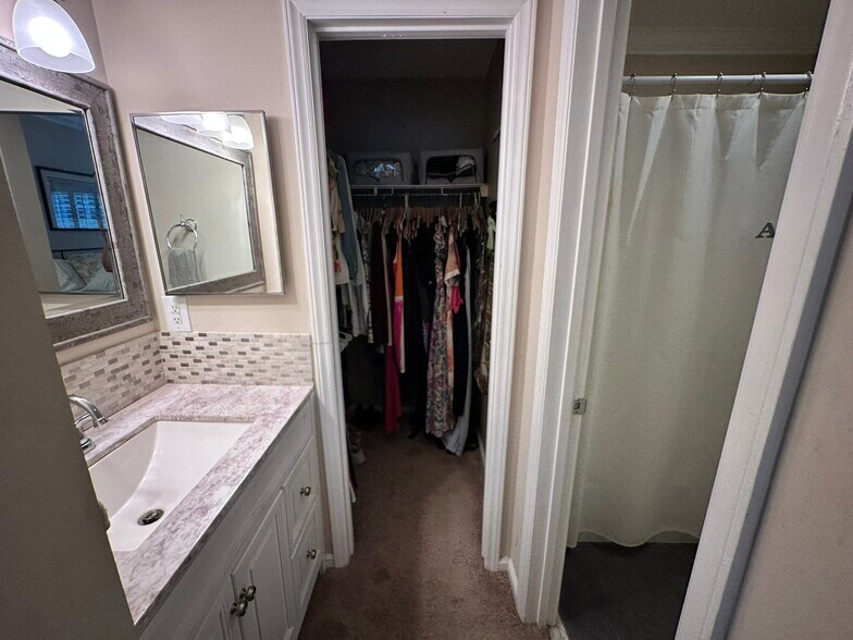 Master Bathroom and Walk-in Closet - 301 Queens Rd