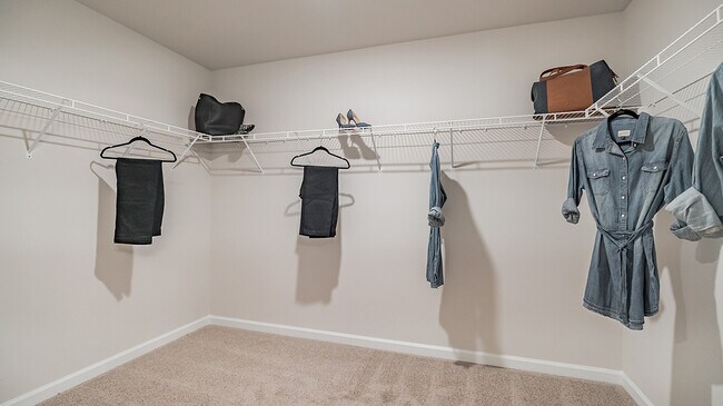 Building Photo - 1037 Turnstone Dr