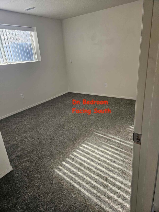 Building Photo - 1438 Stetson Way