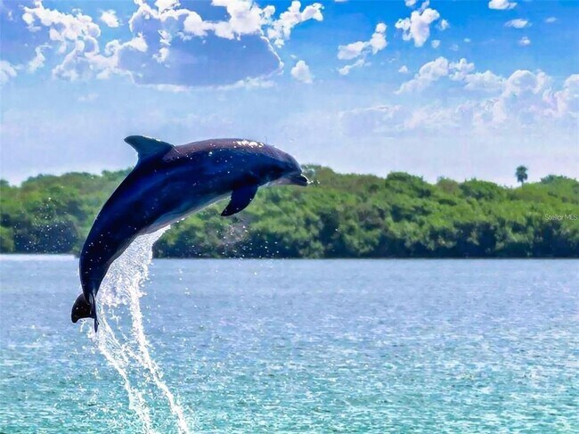 Building Photo - 438 Bouchelle Dr