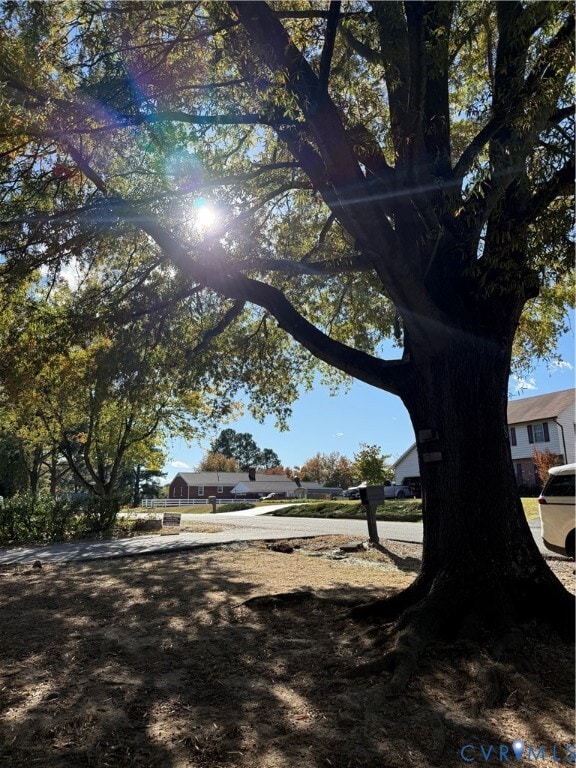 Building Photo - 8 English Oak Cir