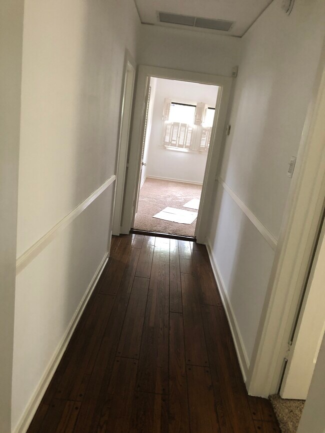 Hallway - 556 Radcliffe Ave