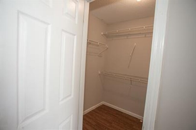 Building Photo - Beautiful 3-Bedroom Home in Cordova-Modern...