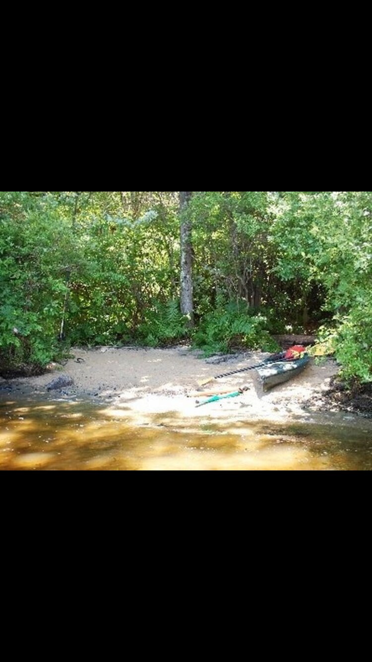 Building Photo - 1415 Briscoe Rd