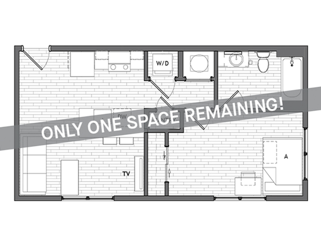 1x1 Large - One Space Left! - Student | Uncommon Auburn