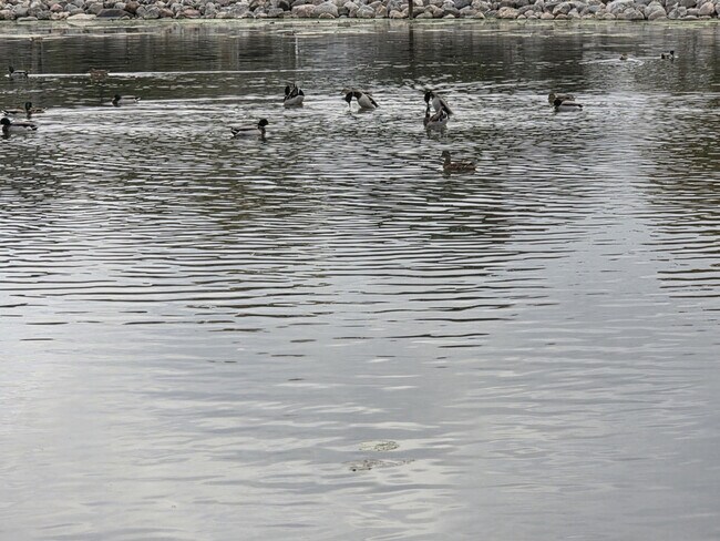 Building Photo - 3407 Venice Ave