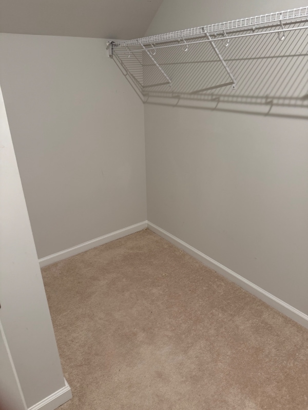 Building Photo - 803 Haversack Hunt Wy