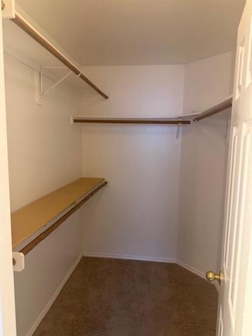 Building Photo - 4206 Tanglewood Ln