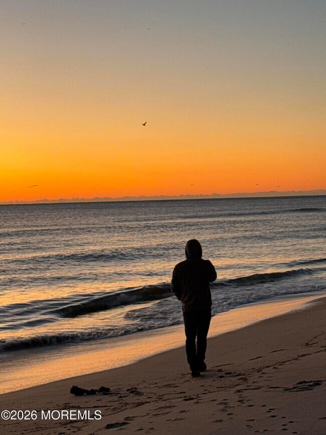 Building Photo - 165 Sunset Ln