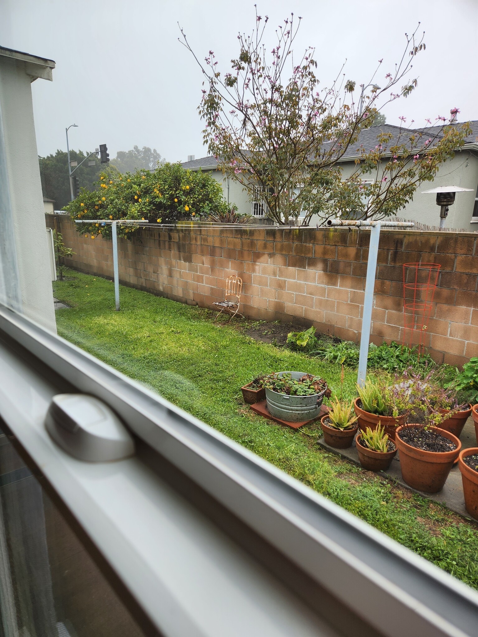 Building Photo - 12019 Ocean Park Blvd