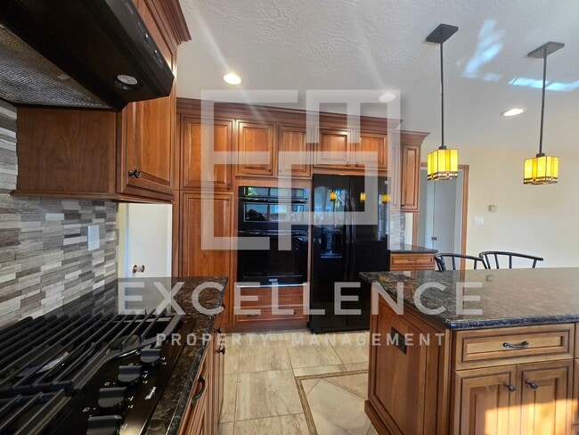 Building Photo - 3087SF 2 Story 5/2.5 House - Community Cabana, Pets Ok, 3 Fireplaces, Beautiful Updated Kitchen
