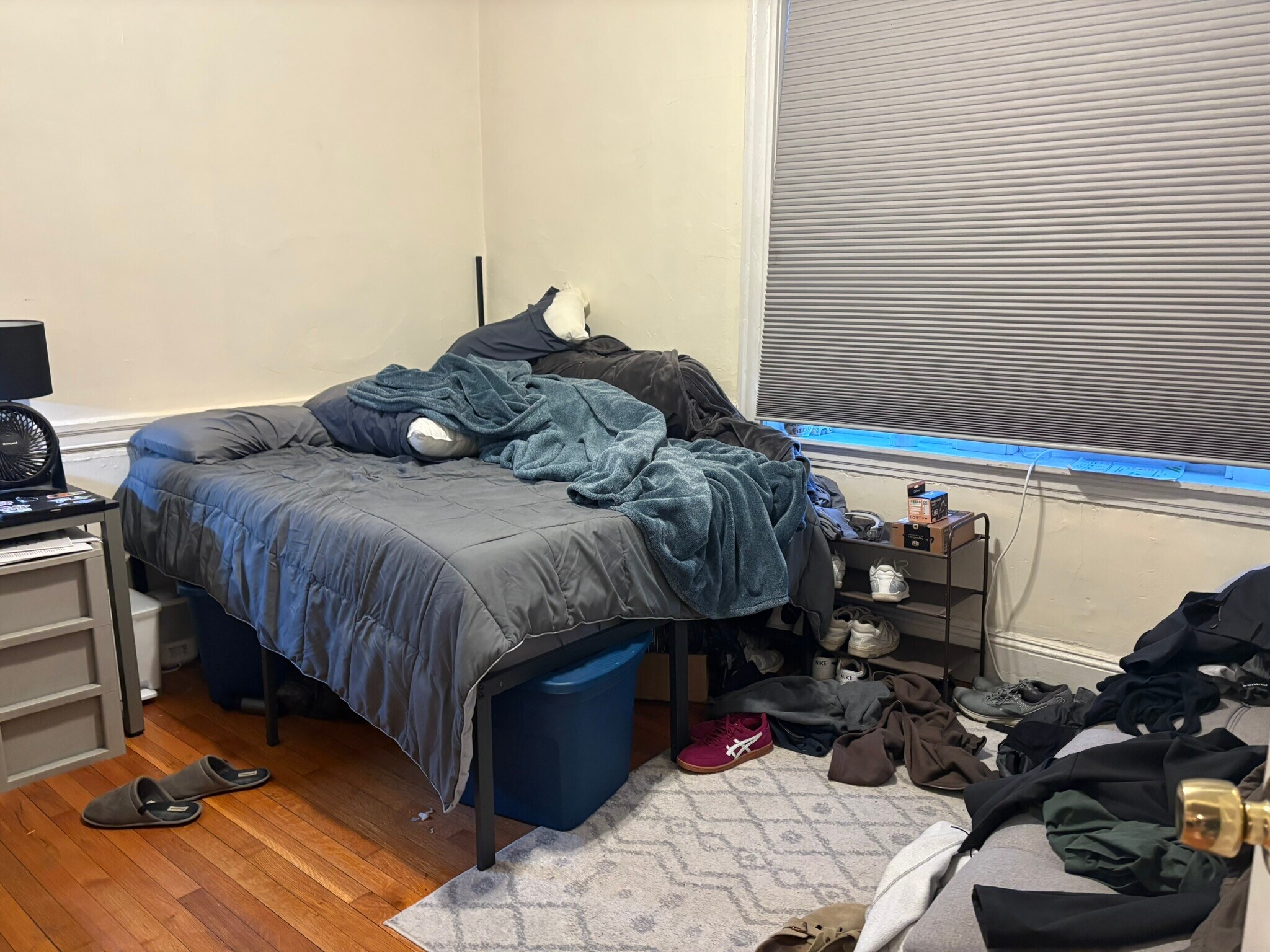 Building Photo - 56 Egmont St