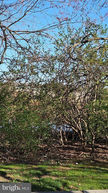 Building Photo - 909 Ravens Crest Dr