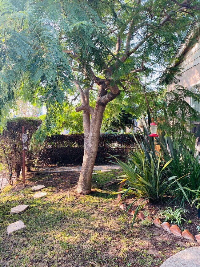 Building Photo - 2127 20th St