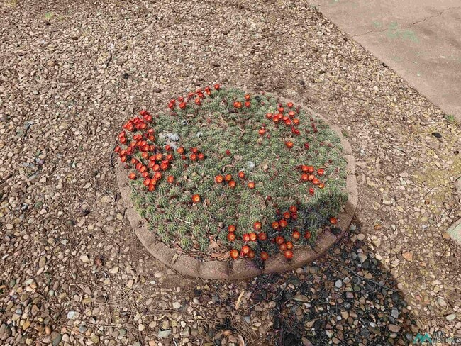 Building Photo - 1600 Arcineiga Dr