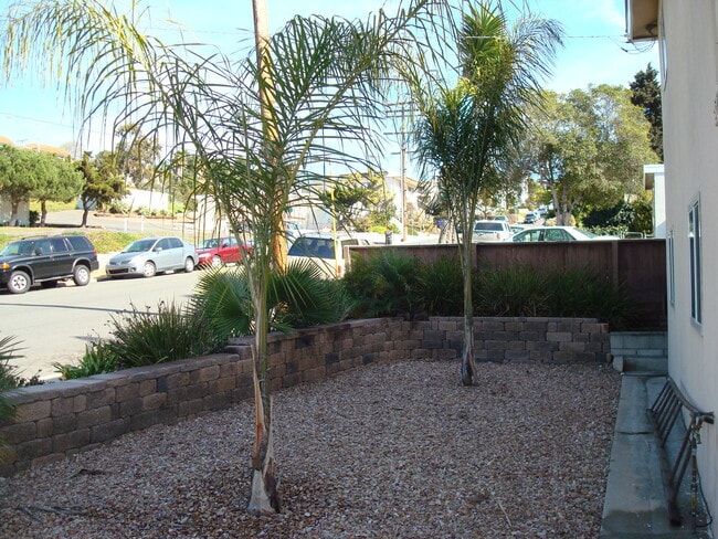 Building Photo - Available March 1st--3 bedroom 1 bath apartment walking distance to USD campus