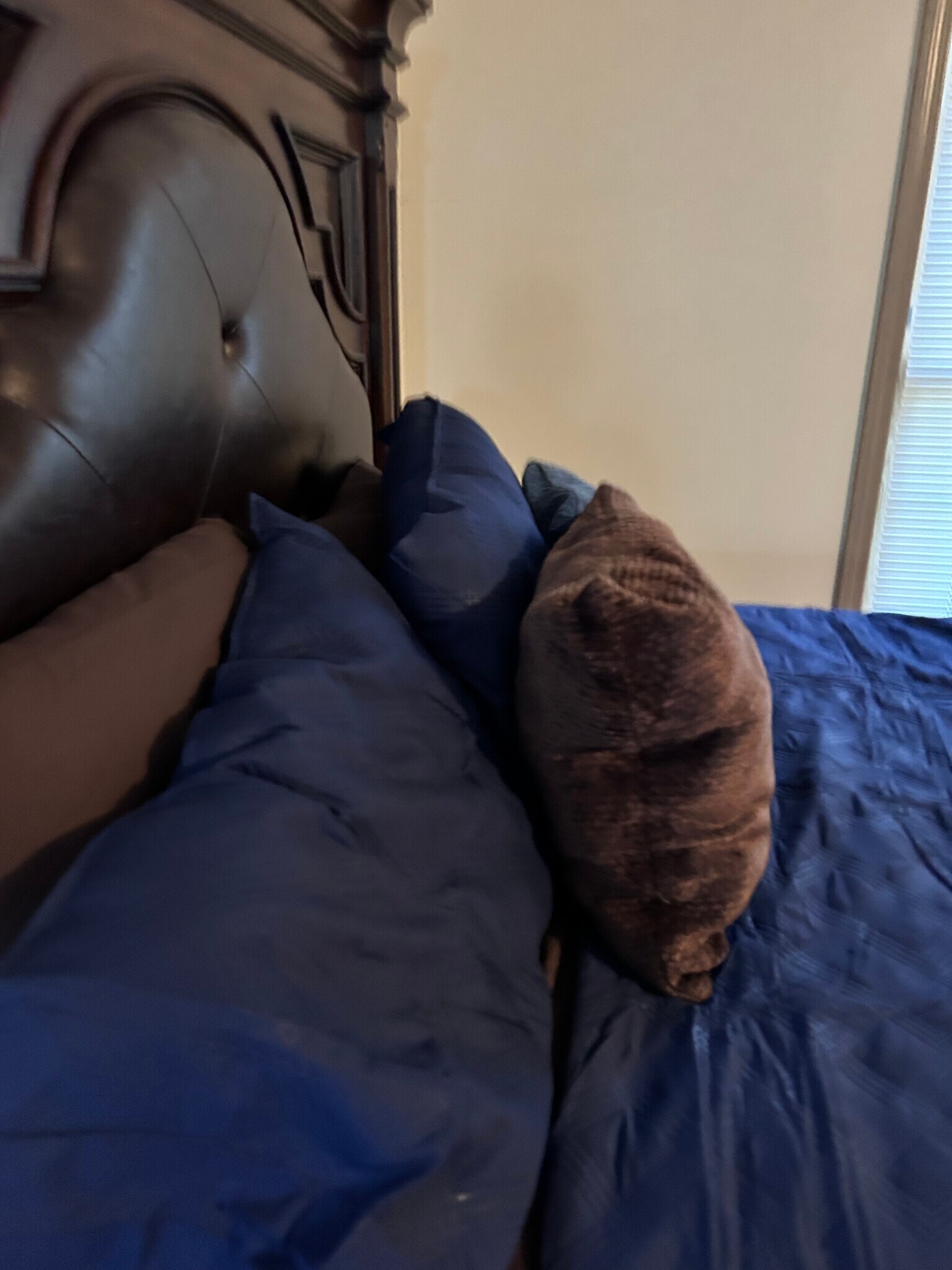 Building Photo - 1205 N Parker St