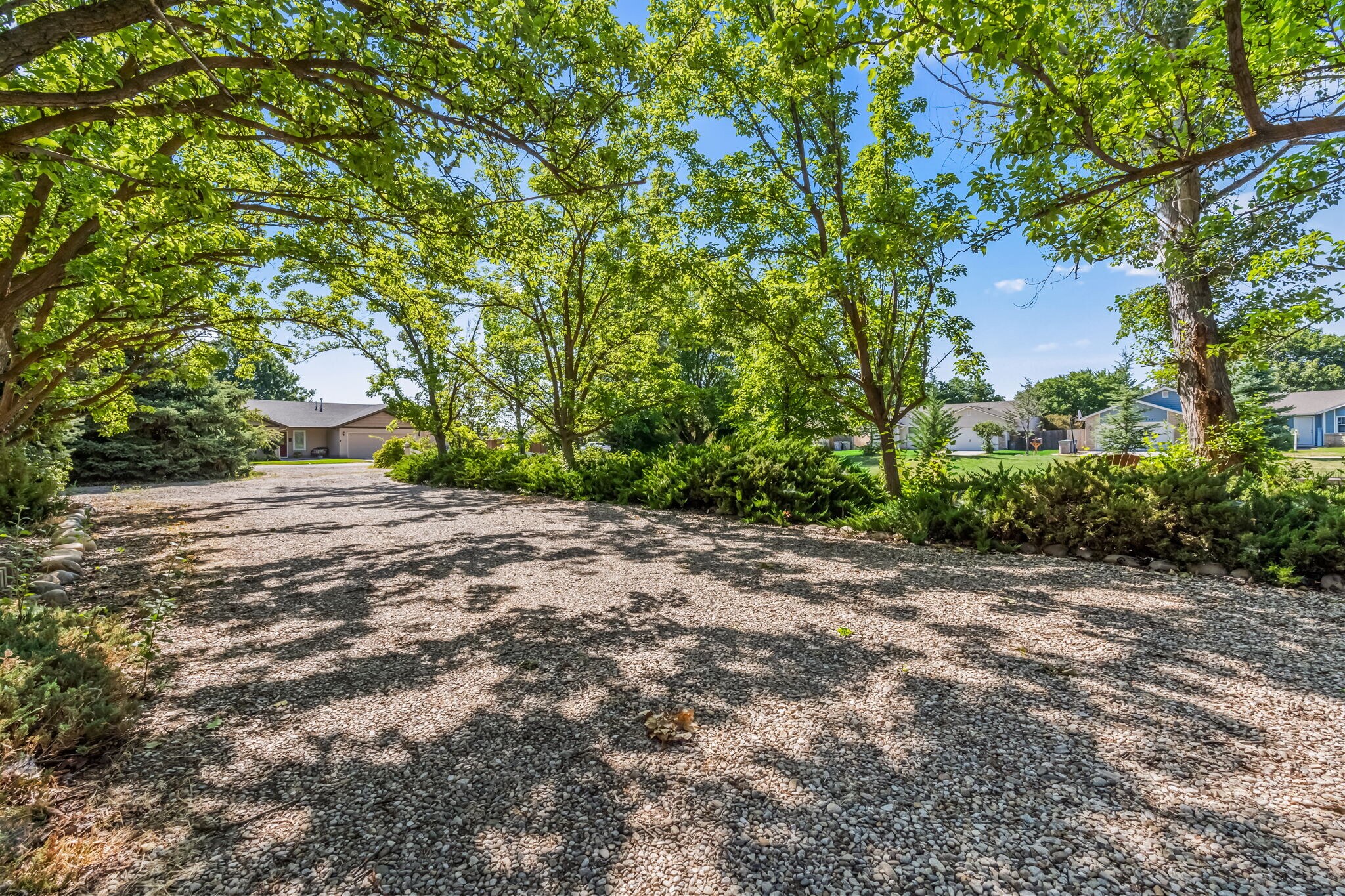 Shaded parking. Tons of shade trees. - 2971 Mumbarto Ave