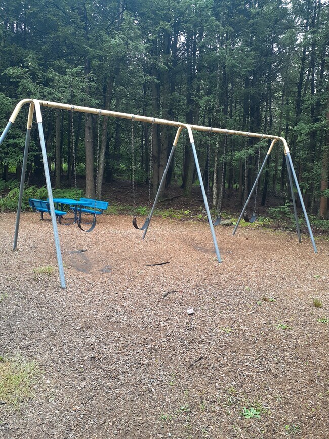 Swings for older children - 20 Elizabeth Way