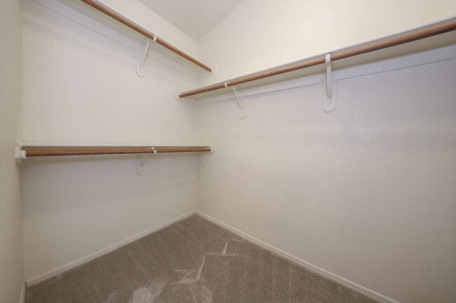 Building Photo - 13307 N Lost Artifact Ln