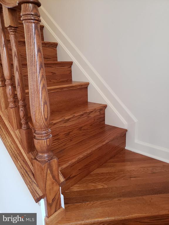 Building Photo - 113 Remington Cir