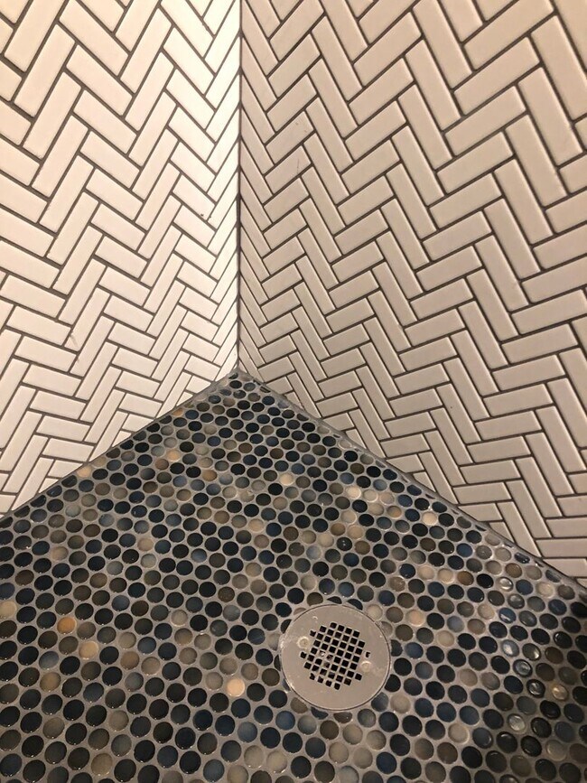 Building Photo - Modern Large and spacious house available in Locus Point