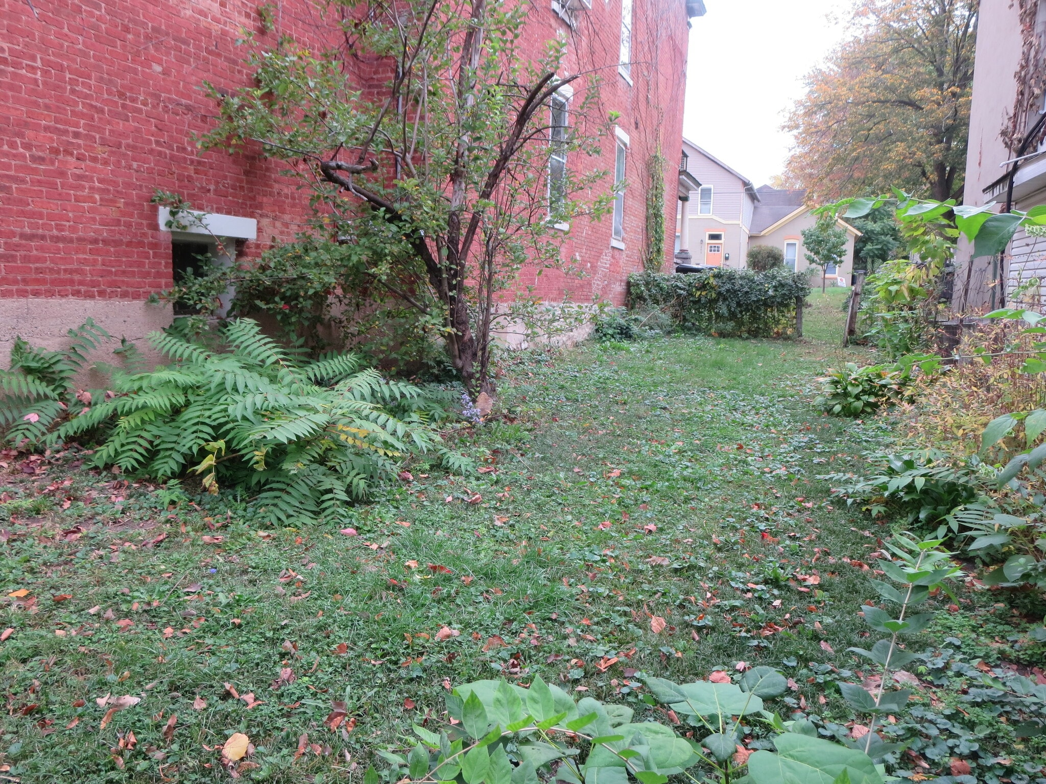 Yard, South side of house. - 204 S 6th St