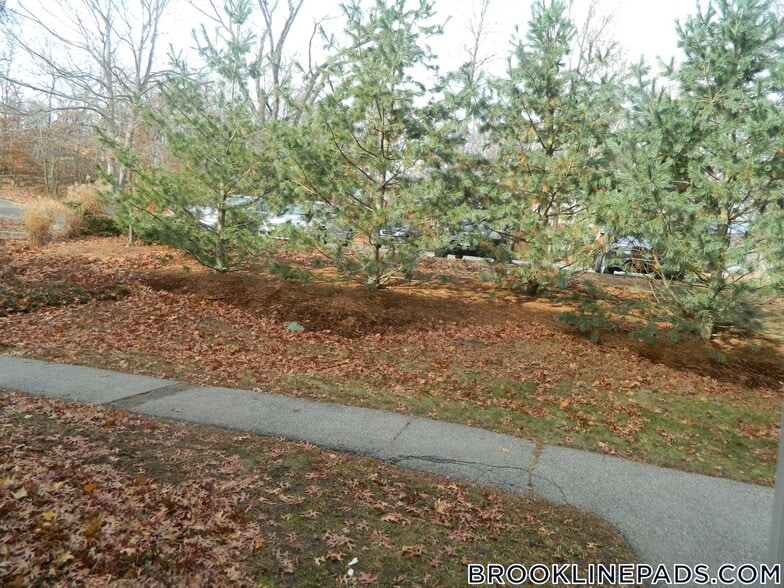 Building Photo - 499 VFW Parkway